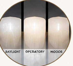 The same shade tab photographed under daylight, operatory light and indoor light — Smile Spot Dentistry, Venice FL