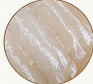 Perikymata striations across a natural enamel surface — Smile Spot Dentistry, Venice FL