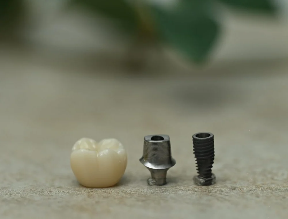 Implant crown, abutment and titanium implant side by side